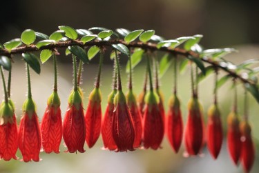 广州越秀区7私人快速借钱网，轻松解决资金难题