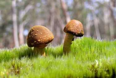 广州越秀区7私人老板放款：轻松融资的秘密通道